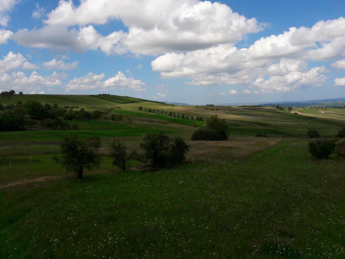 Casa Delureni Екстериор снимка