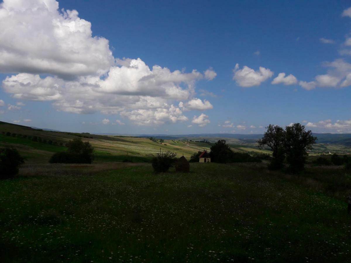 Casa Delureni Екстериор снимка